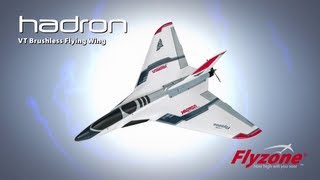 Flyzone Hadron VT Brushless Flying Wings [upl. by Julia]