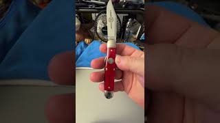 Great Eastern Cutlery Engineer C Risner Indian Head Smooth Red Camel Bone blade shorts edc [upl. by Slinkman]