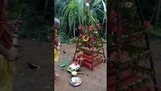 Tulasi pooja [upl. by Alleinnad]