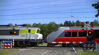 De trein staat stil  Meezingvideo uit afscheidsmusical Sabotage op het spoor [upl. by Lehpar31]