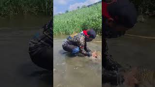 GIANT FISH biggest EVER CAUGHT from the RIVER [upl. by Berliner711]