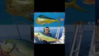 Target No2 blackmarlin ikan marlin marlinfishing trolling fishing fish [upl. by Kinchen996]