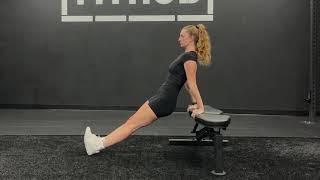 Straight Leg Tricep Dips DEMO [upl. by Leslee]