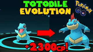 Evolving TOTODILE to FERALIGATR Pokemon Go GEN 2 Evolution [upl. by Dorcea70]