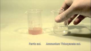 Reaction of Ferric solution with Ammonium Thiocyanate [upl. by Yliah55]