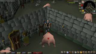 OSRS Bloodveld safe spot Range  Slayer Tower  2024 [upl. by Conlan509]