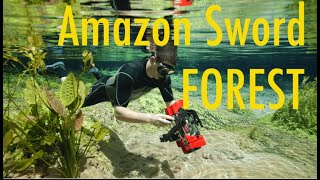 Giant Amazon sword plant forest  Echinodorus and Ancistrus in nature [upl. by Llerruj]