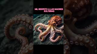 Mil respeto a las madres solteras amor reels viralvideo vlog video [upl. by Ymij351]