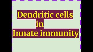 DENDRITIC CELLS inInnate immunity [upl. by Gorey]