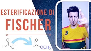 Esterificazione di Fischer Reazione e Meccanismo Chimica Organica [upl. by Brendis]