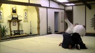 Ushiro Ryote Dori Shiho Nage [upl. by Hal290]