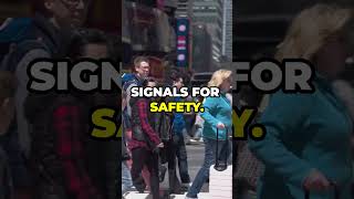 Jaywalking Now Legal in NYC 🚶‍♂️🚦 newsdigests jaywalking tickets nyc [upl. by Sudhir438]