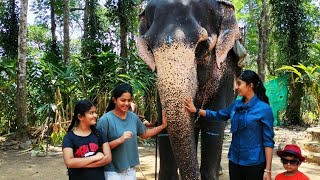 Thekkady Elephant Safari [upl. by Tartan792]