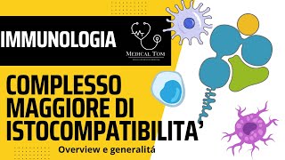 Complesso maggiore di istocompatibilità  MHC  Generalità e Funzioni [upl. by Ripleigh]