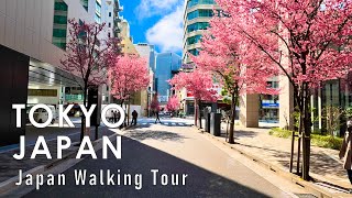 Japan walking tour in Tokyo Spring 2024 4K 60fps HDR [upl. by Nabala]