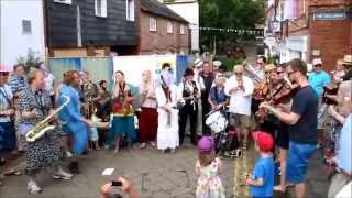 Steamchicken at Warwick Folk Festival July 2014 [upl. by Aihsem857]