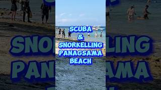 Scuba amp Snorkelling Panagsama Beach  moalboal swimming tourism [upl. by Nyl]