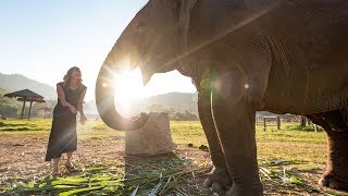 Why We Stopped Riding Elephants  Be Kind Be Intrepid [upl. by Ybab]