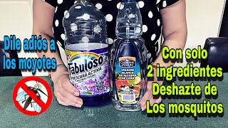 ✳️ Prepara esto para alejar los mosquitos de tu casa 🌟 [upl. by Enifesoj]