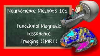 Functional Magnetic Resonance Imaging fMRI explained  Neuroscience Methods 101 [upl. by Audrey838]