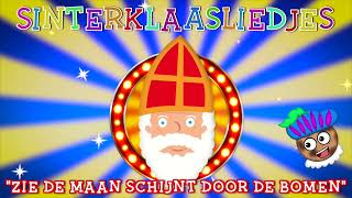 Zie De Maan Schijnt Door De Bomen  Sinterklaasliedje 2024 [upl. by Eedissac969]