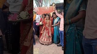 Net speed like a bride walking😂 viralvideo funny shorts [upl. by Acirat474]