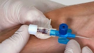 IV Cannulation Procedure ll Intravenous Cannulation Technique youtube viral aiims ivcannula [upl. by Kirk400]