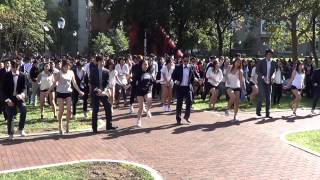 University of Pennsylvania Flash Mob  GANGNAM STYLE [upl. by Atinej]