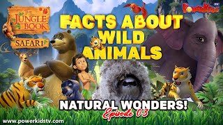 NATURAL WONDERS 3  FACTS ABOUT WILD ANIMAL  Jungle Book Safari  Planet Animal  Animal Kingdom [upl. by Janette]