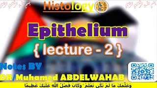 Epithelium  2  Histology  القصر العيني 198 [upl. by Aligna]