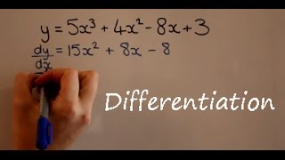 Differentiation [upl. by Chrisy561]