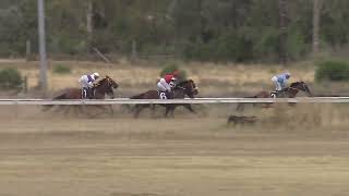 Narrabri 23 03 2024 Race 4 [upl. by Serge]