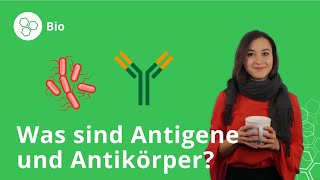 Antigene und Antikörper Was ist das und wozu braucht man sie – Biologie  Duden Learnattack [upl. by Monique390]