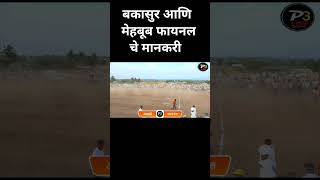 बकासुर आणि मेहबूब फायनल चे मानकरी bakasur viral bailgada bailgadasharyat shorts short [upl. by Whatley813]