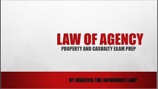 Law of Agency [upl. by Simonette]