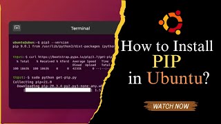 How to install PIP in Ubuntu [upl. by Eimile576]