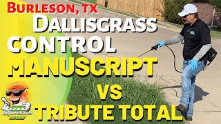 How to Control Dallisgrass with Tribute Total and Manuscript Texas [upl. by Namwob]