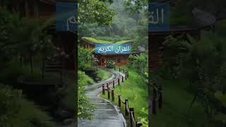 Quran Translation in Urdu shorts islamic status [upl. by Nannah]