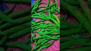 Same ki phali ka salan  lunch recipe beans lunchrecipe dinner ytshort youtubevideo nature [upl. by Anet]