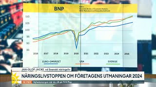 Näringslivstoppen om den ekonomiska utvecklingen 2024  Nyhetsmorgon  TV4 amp TV4 Play [upl. by Luamaj]