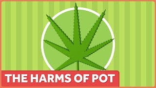 The Harms of Marijuana [upl. by Mowbray]