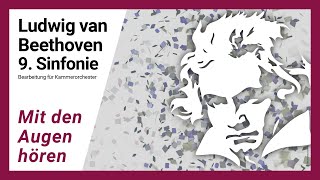 BEETHOVEN 9 Sinfonie quotMit den Augen hörenquot [upl. by Elenore]