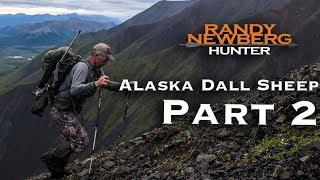 2018 Alaska Dall Sheep with Randy Newberg Part 2 of 9 [upl. by Modnar]