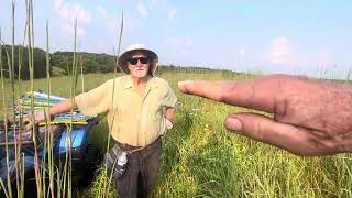 Big Bluestem perennial warm season grass along with Korean lespedeza is a homerun in summer heat [upl. by Izak]