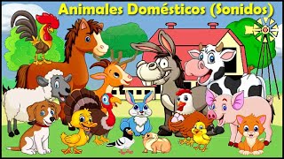 LOS ANIMALES DOMÉSTICOS SONIDOS [upl. by Lounge]