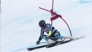 Alpine Skiing Giant Slalom Photo Slideshow Ski Technique World Cup Val dIsere 2018 [upl. by Ecirpak63]