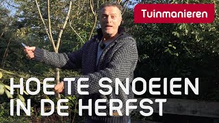 Snoeien in de herfst en winter hoe doe je dat  Snoeien  Tuinmanieren [upl. by Ynohtnad]