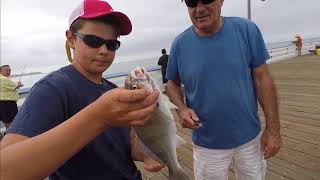 How to Fish From a Pier [upl. by Gasser]