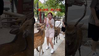 「飛段はとても怖かったです鹿と風景：文化の旅」  Nara Deer Park in Japan  奈良日 本旅行へずまりゅう奈 良公園 [upl. by Anival383]