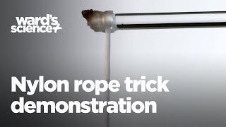 Wards Nylon Rope Trick Demonstration [upl. by Eivla]